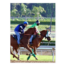 At the Races Postcard