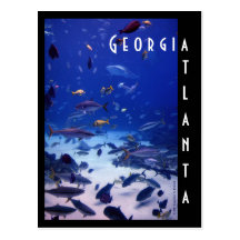 Atlanta Aquarium, Georgia Post Card