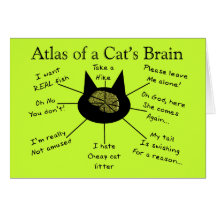 Atlas Of a Cat's Brain Cards