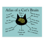 Atlas Of a Cat's Brain Postcard