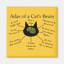 Atlas Of a Cat's Brain Refrigerator Magnets