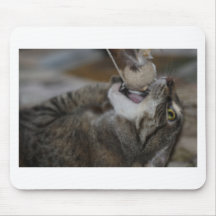 Attack Cat Mouse Pads