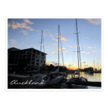 auckland harbour masts postcards