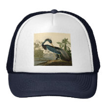 Audubon Louisiana Heron Mesh Hat