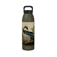 Audubon Louisiana Heron Reusable Water Bottles