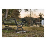 Audubon Park Sunset Photo