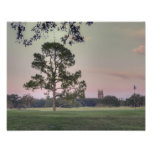 Audubon Park Sunset Photo