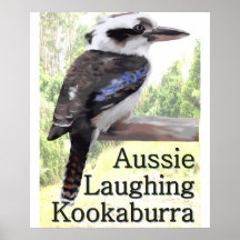 Aussie Laughing Kookaburra Print