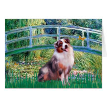 Aussie Shep 1 - Bridge Greeting Cards