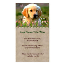 Austin Golden Labrador Puppy Business Cards