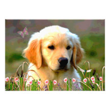 Austin Golden Labrador Puppy Custom Invitation
