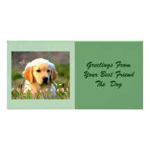 Austin The Golden Labrador Customised Photo Card