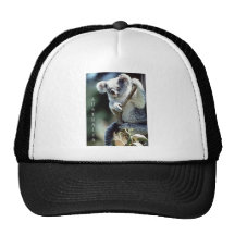Australia Koala Bear Hat