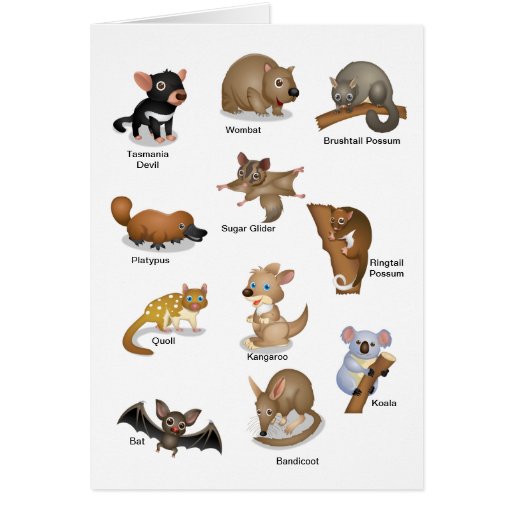 Australian Animal Greeting Card | Zazzle