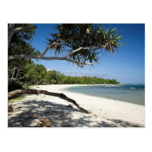 Australian beach postcard