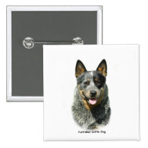 Australian Cattle Dog 9F061D-03 Pinback Buttons