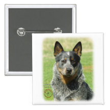 Australian Cattle Dog 9F061D-04_2 Buttons
