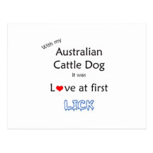 Australian Cattle Dog Lick Design Postcards