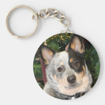 Australian Cattle Dog Photo Key Chain