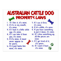 AUSTRALIAN CATTLE DOG Property Laws 2 Postcards