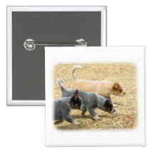 Australian Cattle Dog puppies 8T57D-18 Pinback Buttons