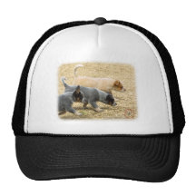 Australian Cattle Dog puppies 8T57D-18 Trucker Hat