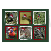Australian Christmas Animals Greeting Card