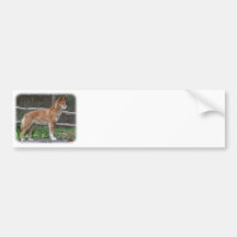 Australian Dingo 9Y209D-268 Bumper Stickers