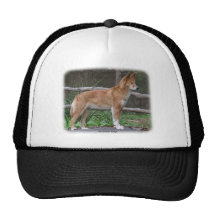 Australian Dingo 9Y209D-268 Hat