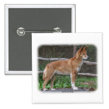 Australian Dingo 9Y209D-268 Pinback Button