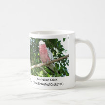 Australian Galah (Rose Breasted Cockatoo) Mug