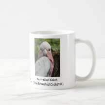 Australian Galah (Rose Breasted Cockatoo) Coffee Mugs