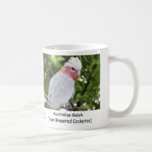 Australian Galah (Rose Breasted Cockatoo) Mug