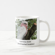 Australian Galah (Rose Breasted Cockatoo) Coffee Mug