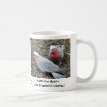 Australian Galahs (Rose Breasted Cockatoo) Coffee Mug