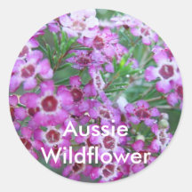 Australian Geralton Wax Sticker