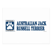 Australian Jack Russell Terrier Blue Post Cards