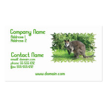 Australian Kangaroo Business Card