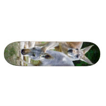 Australian Kangaroos Relaxing in the Sun Skate Deck