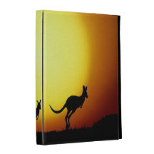 Australian Kangaroos Silhouetted Against A Sunset. iPad Folio Case