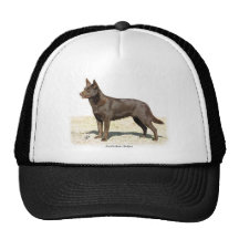 Australian Kelpie 9P21D-247 Mesh Hats