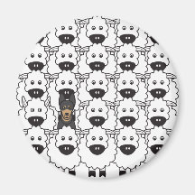 Australian Kelpie in the Sheep Magnets