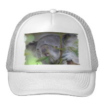 Australian Koala Baseball Hat