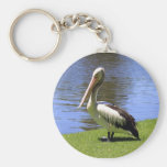 Australian Pelican along the River Torrens. Key Chain
