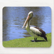 Australian Pelican along the River Torrens. Mouse Mat