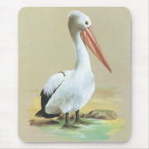 Australian Pelican  - Pelecanus conspicillatus Mouse Pads