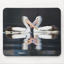 Australian Pelicans Pelecanus Conspicillatus Mousepad