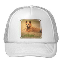 Australian Red Cattle Dog Baseball Hat
