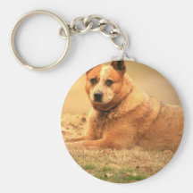 Australian Red Cattle Dog Keychain