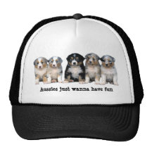 Australian Shepherd Puppies Hat